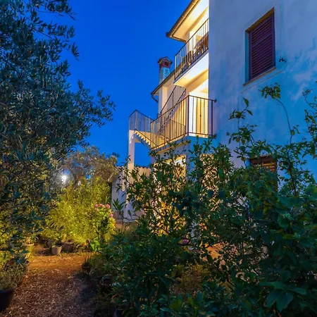 Apartment Amalia *